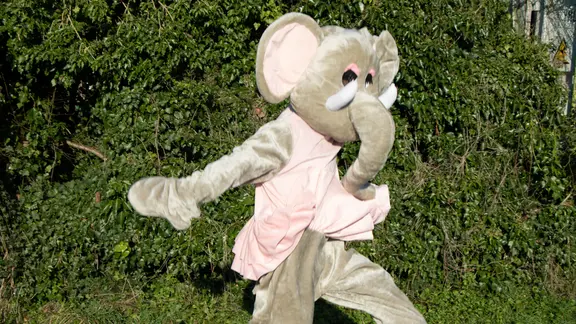 Persoon verkleed in olifant