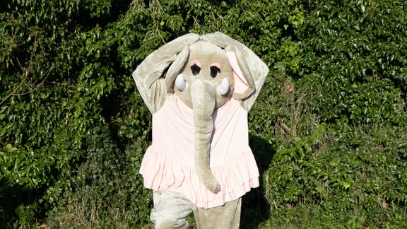 Persoon verkleed in olifant en doet een ballerina na