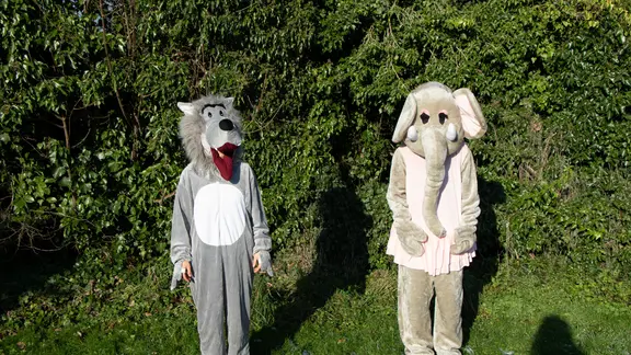 Olifant en wolf