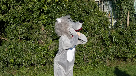 Persoon verkleed in wolf