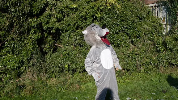Persoon verkleed in wolf