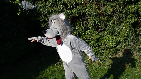 Persoon verkleed in wolf