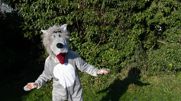 Persoon verkleed in wolf