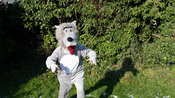 Persoon verkleed in wolf