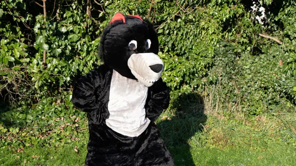persoon verkleed als wolf