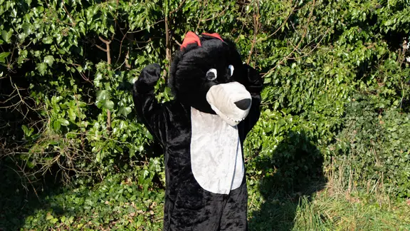 persoon verkleed als wolf