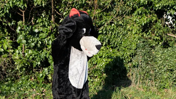persoon verkleed als wolf