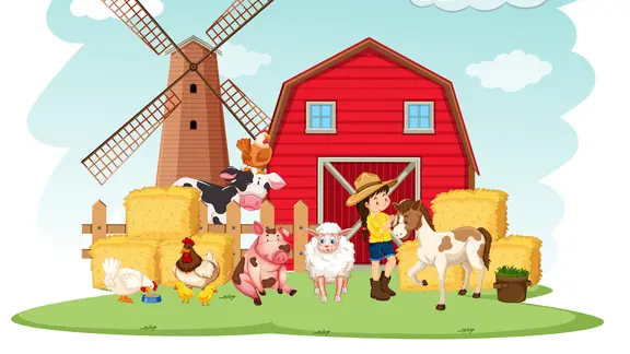 Boerderij