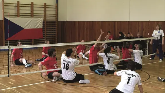 zitvol2